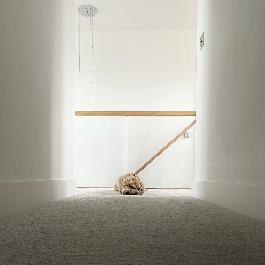 A dog lies on the carpet in front of a glass balustrade with oak handrail.