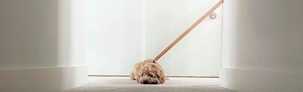 5 Ways To Open Up Your Space With a Clever Staircase Design